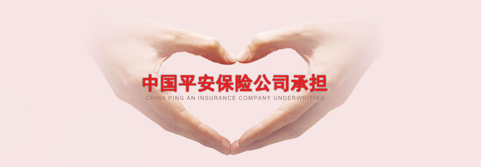 banner图片7
